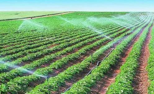 美女插逼流水视频农田高 效节水灌溉